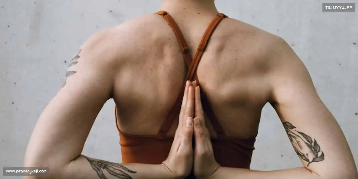 米兰官网🏃♀️无论快慢,坚持就是胜利 —— 你的运动故事,由你书写!